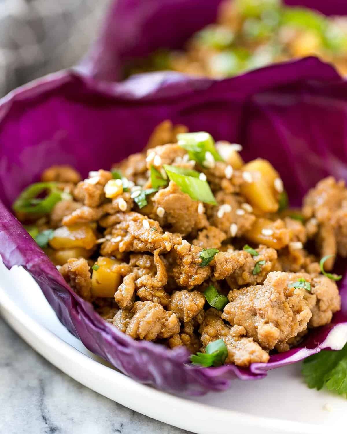 Asian Ground Chicken Recipe | Healthy Fitness Meals
