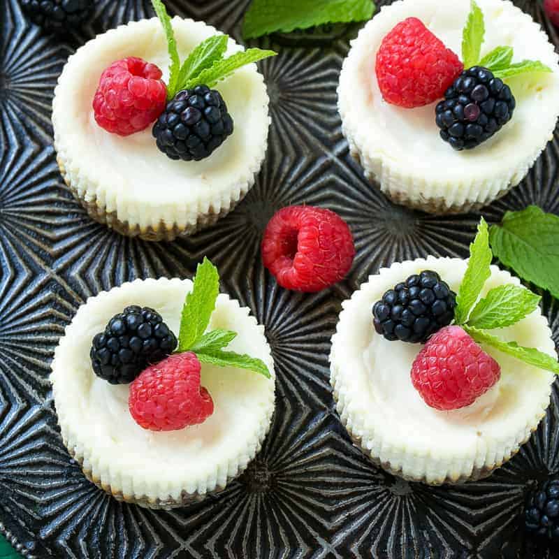 top view of 4 cheesecake bites on a platter topped with one raspberry and one blackberry