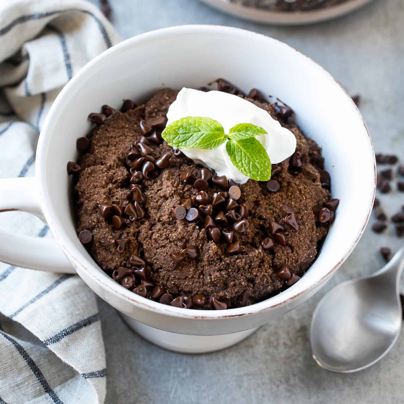 Easy Protein Chocolate Mug Cake Recipe Healthy Fitness Meals 