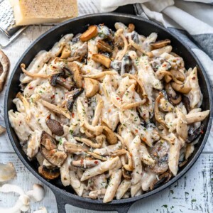 Creamy wild mushroom pasta