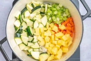 chopped veggies to make soup in a pot.