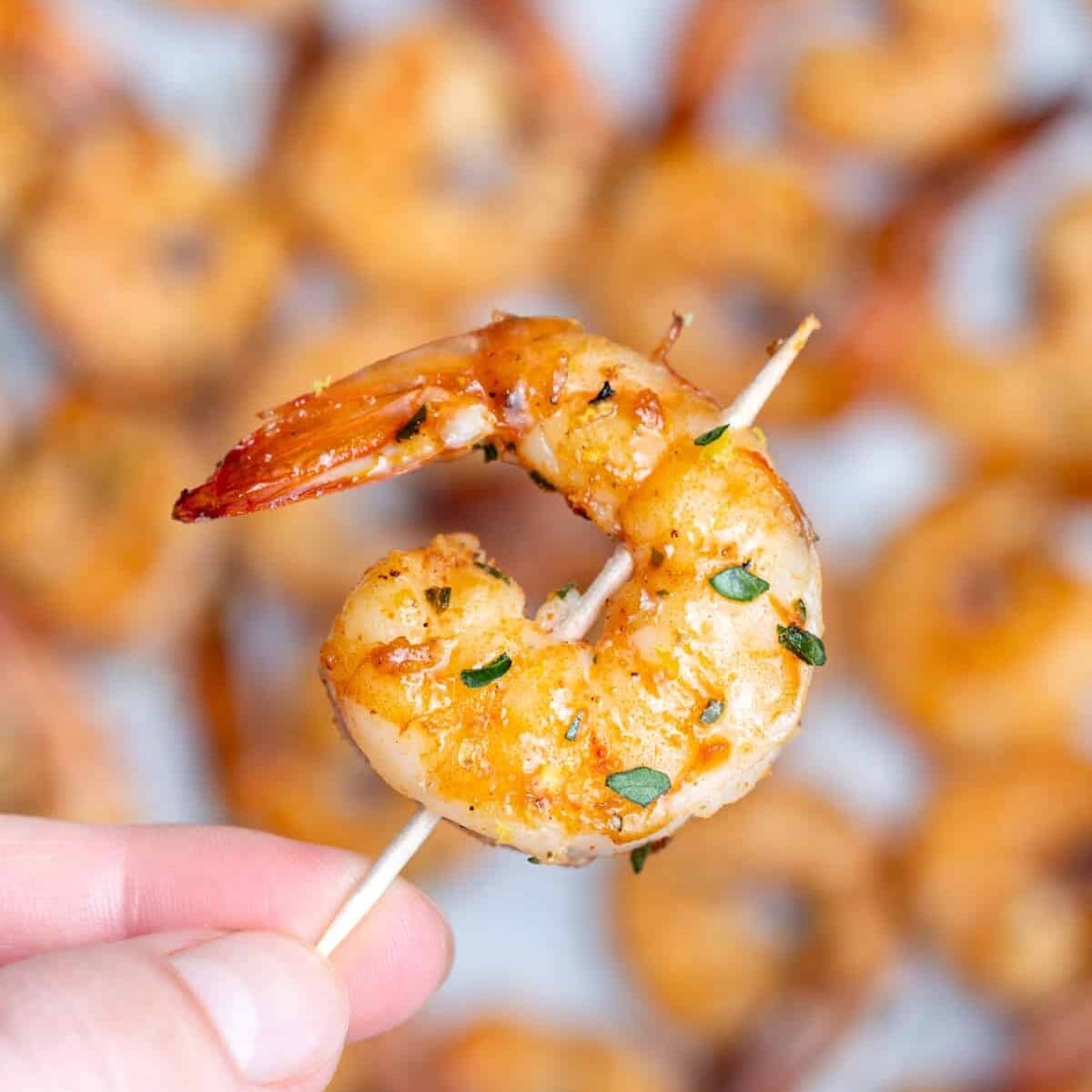 Hand holding a shrimp on a skewer.