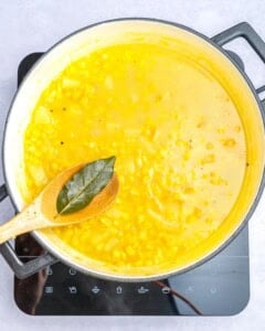 bay leaf being removed from the soup in pot.
