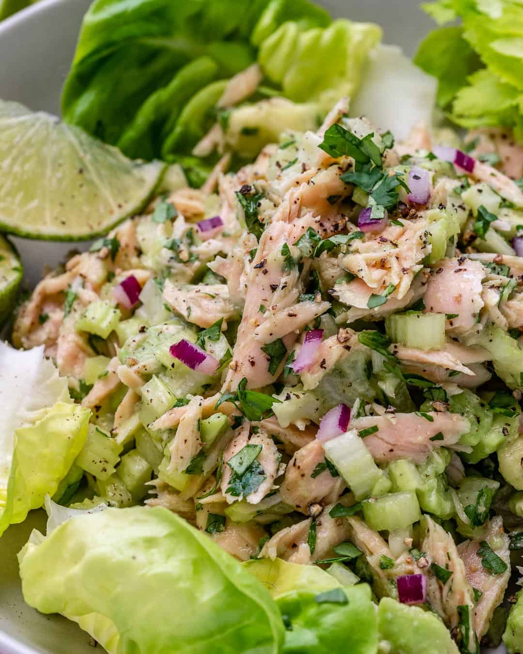 best tuna salad recipe with no mayo