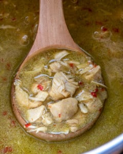 Spoonful of instant pot chicken curry in pot