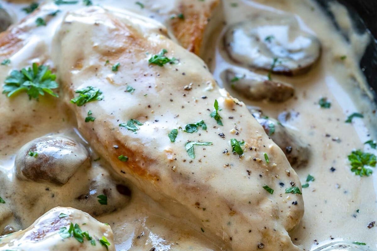 cooked chicken in a creamy mushroom sauce.