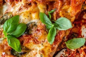Baked lasagna in a dish.