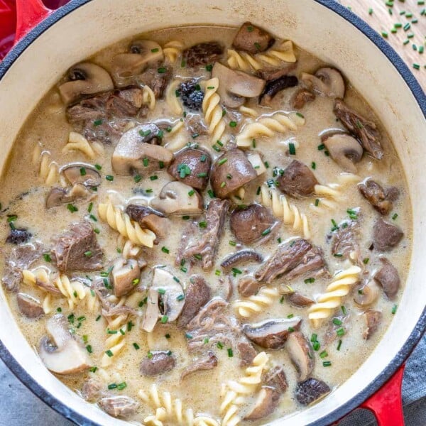 top view of stroganoff soup in red pot
