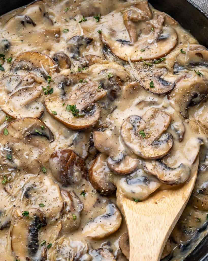 Spoonful of mushrooms with sauce