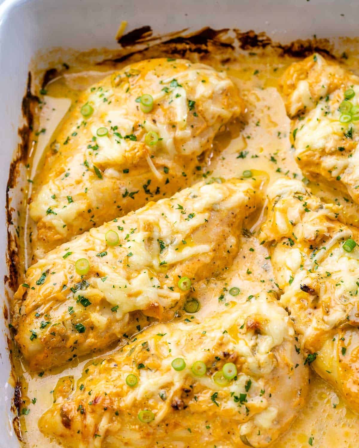 buffalo chicken in white dish