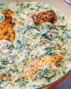 side shot of chicken in creamy spinach sauce