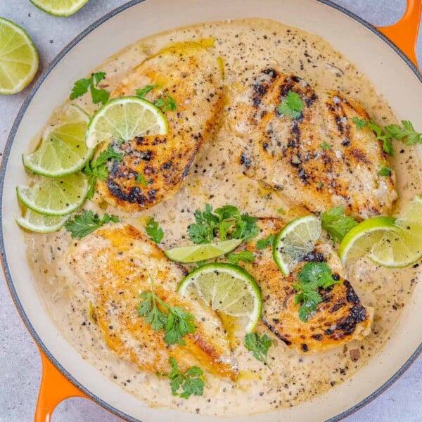 top view chicken breast in a creamy sauce