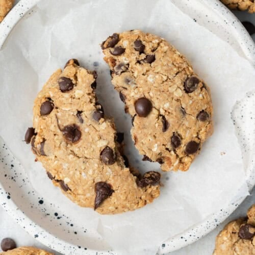 Oatmeal Chocolate Chip Cookies Recipe | Healthy Fitness Meals