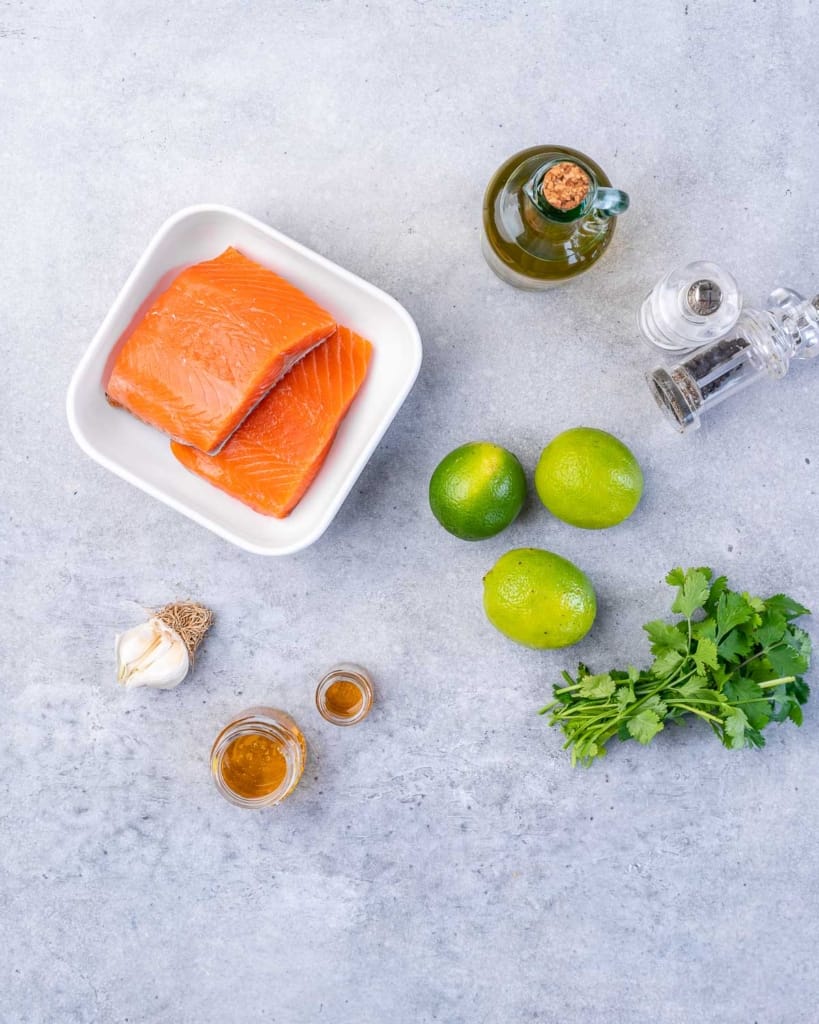 ingredients to make the grilled salmon with cilantro lime honey and salmon fillets 