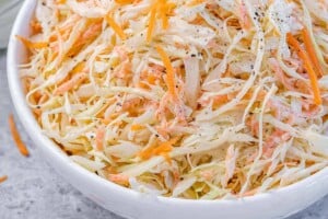side shot image of a white bowl filled with coleslaw salad