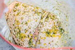 chicken in bag with marinade
