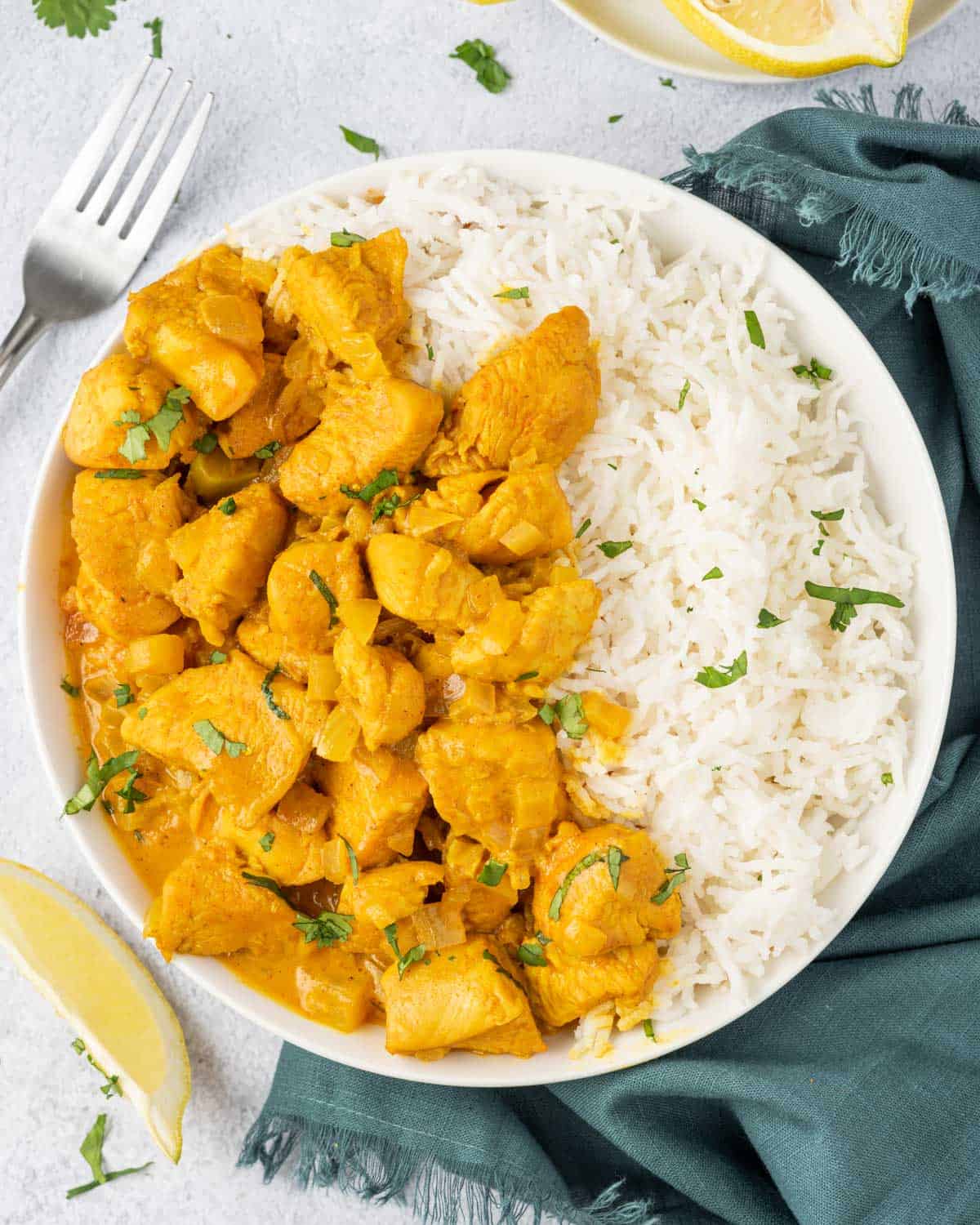 top view chicken curry with rice on a white plate