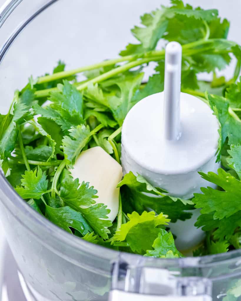Blending fresh cilantro, garlic and olive oil in a food processor.