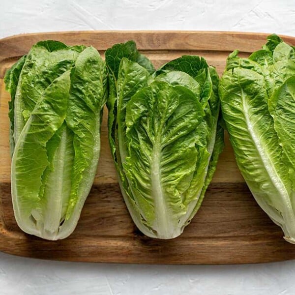 Top view of 3 romaine lettuces on a cutting board