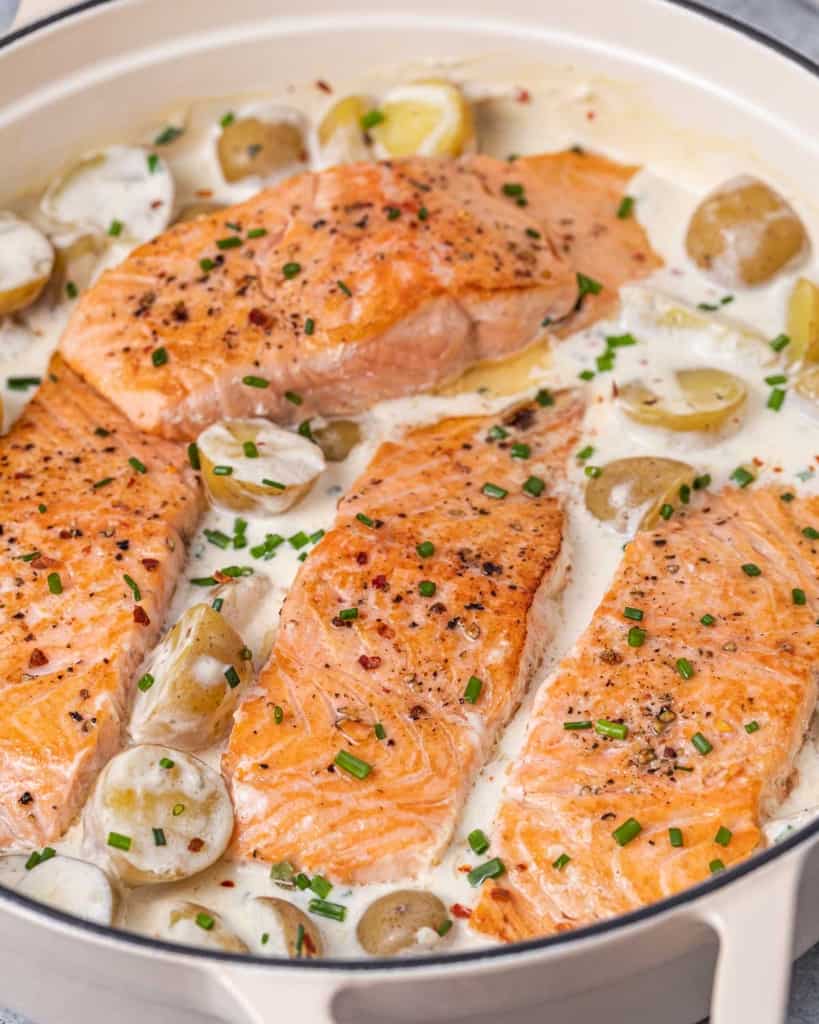 side shot salmon fillet in a creamy white sauce on skillet