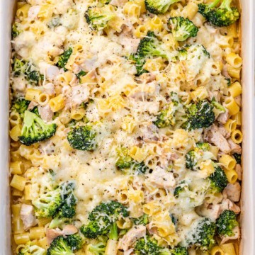 Chicken and pasta baked on a white dish with broccoli topped with cheese.