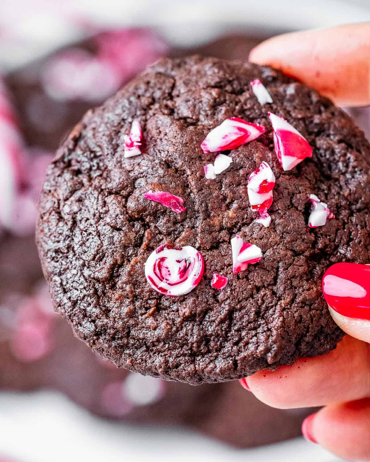 Hand-holding a chocolate brownie cookie topped with chopped candy cane.