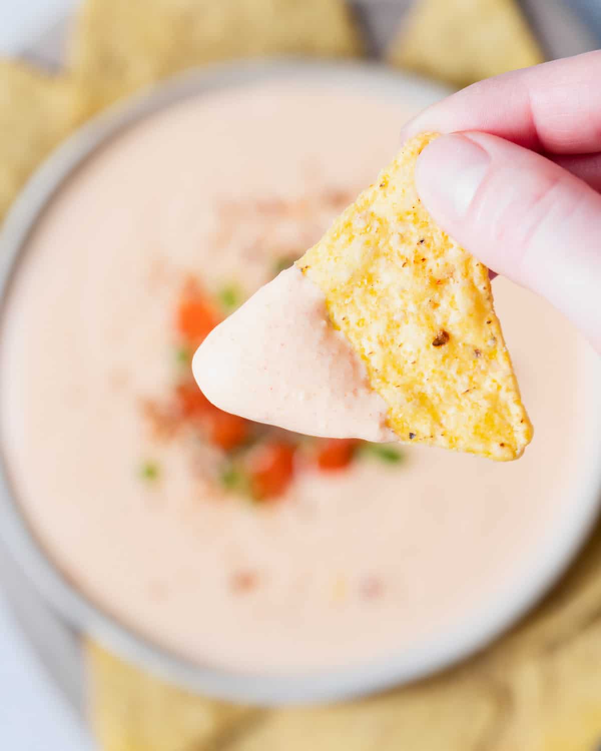 Hand holding chip with cottage cheese queso on it.