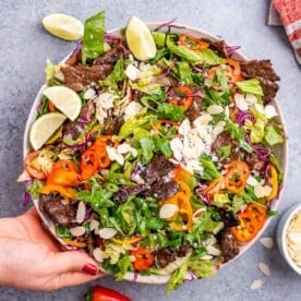 hand holding a bowl of steak salad.