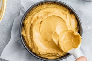 Spreading pumpkin cheesecake filling into a springform pan.