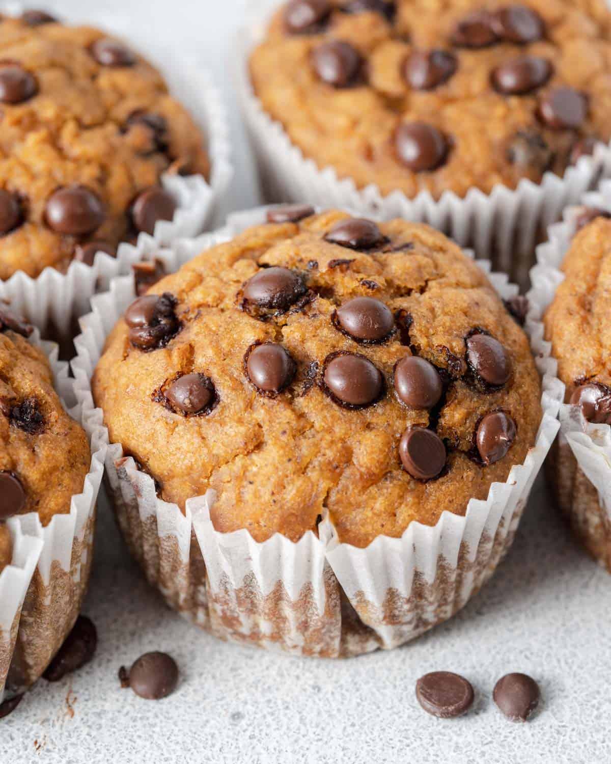 sweet potato muffins topped with chocolate chips.