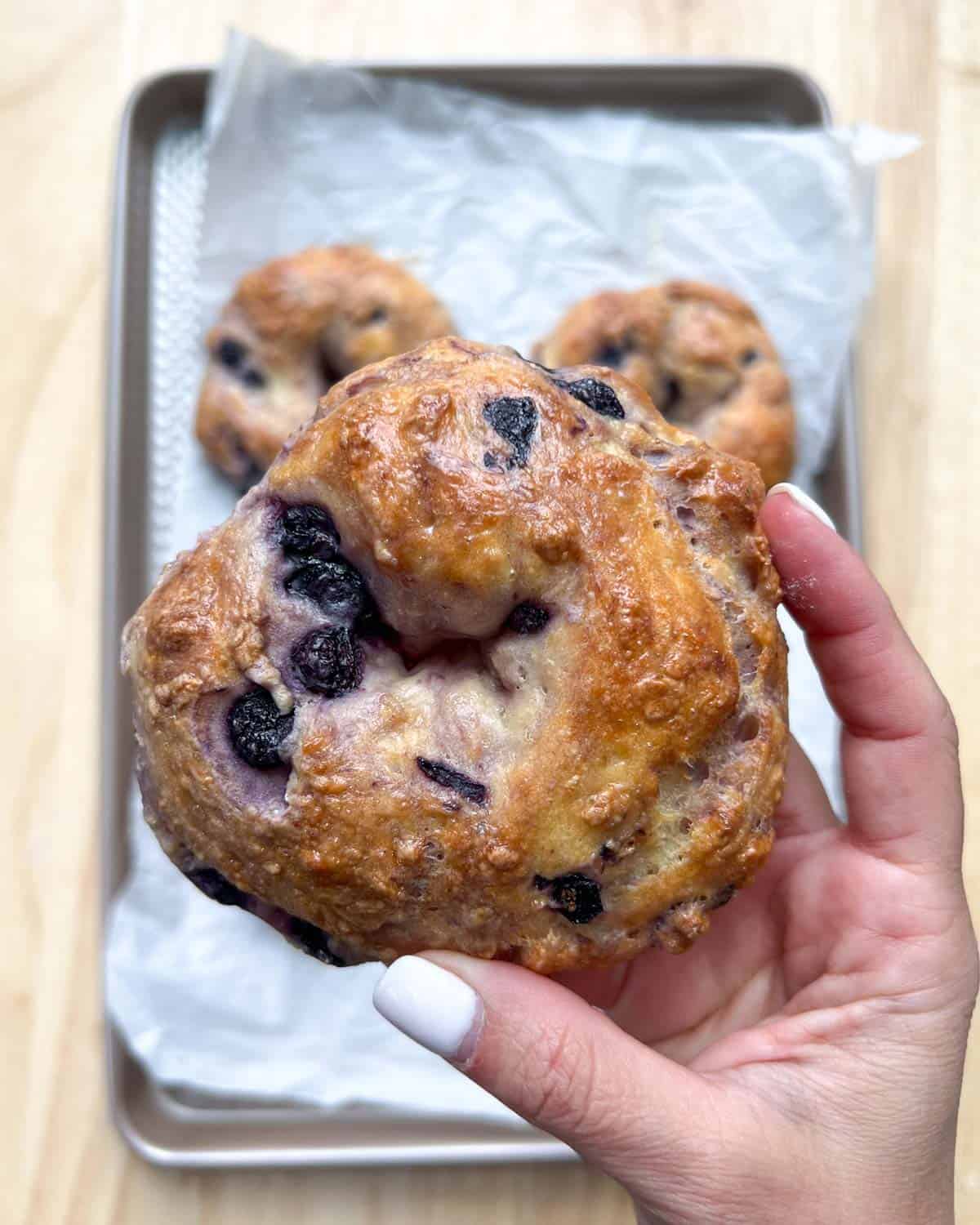 hand holding a blueberry bagel over a tray with other bagels.