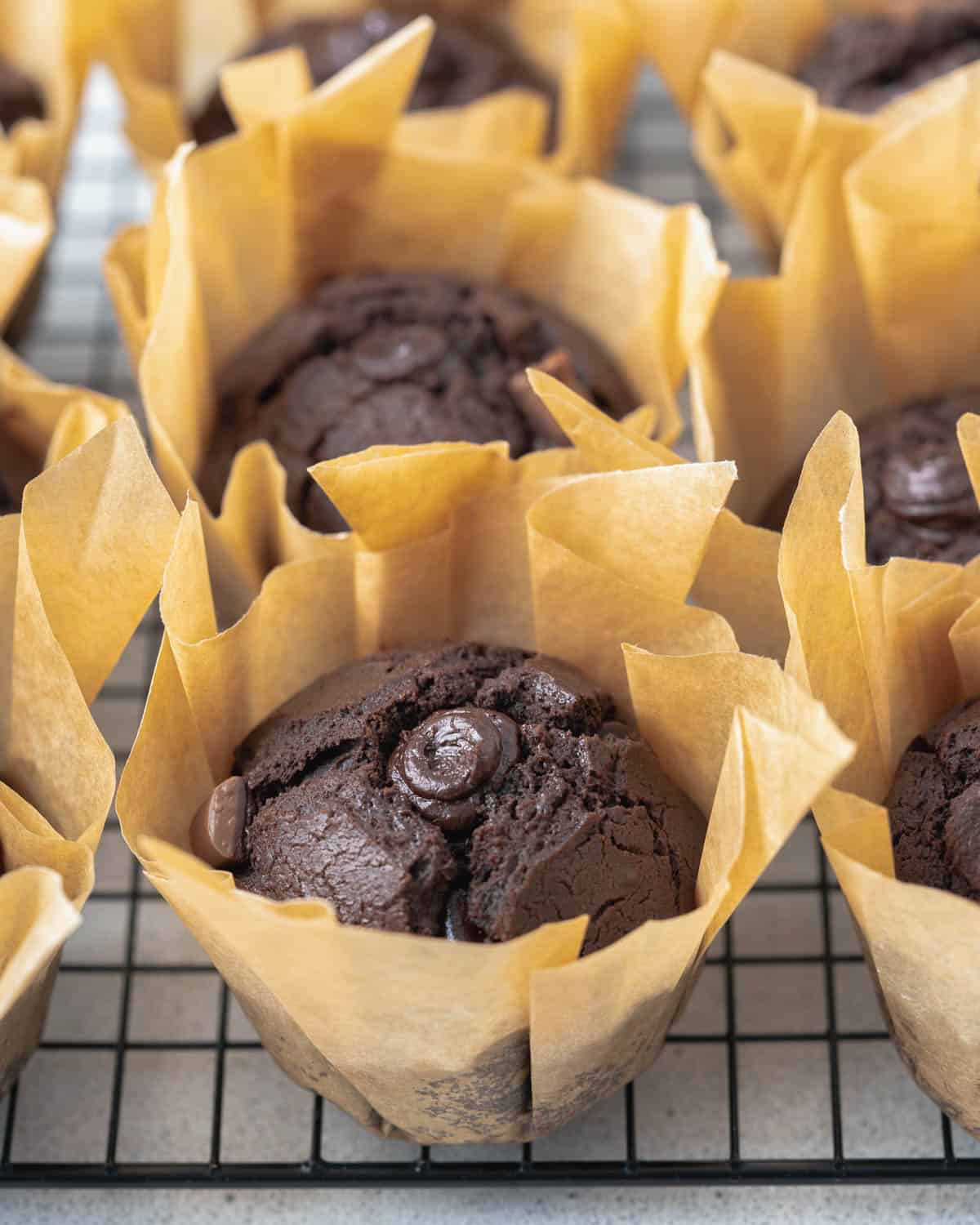 chocolate muffins in a cupcake liner set on a cooling wrack.