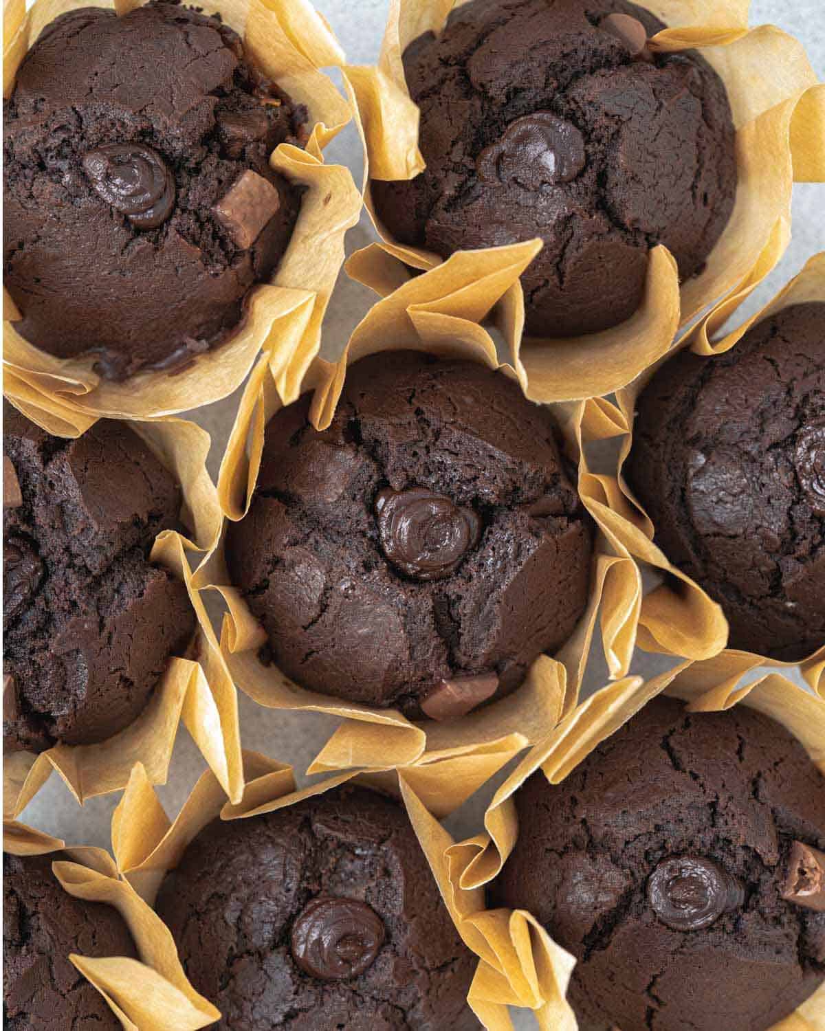 chocolate muffins lines in a cupcake liner next to each other.