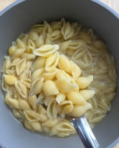 spoonful of cooked pasta.