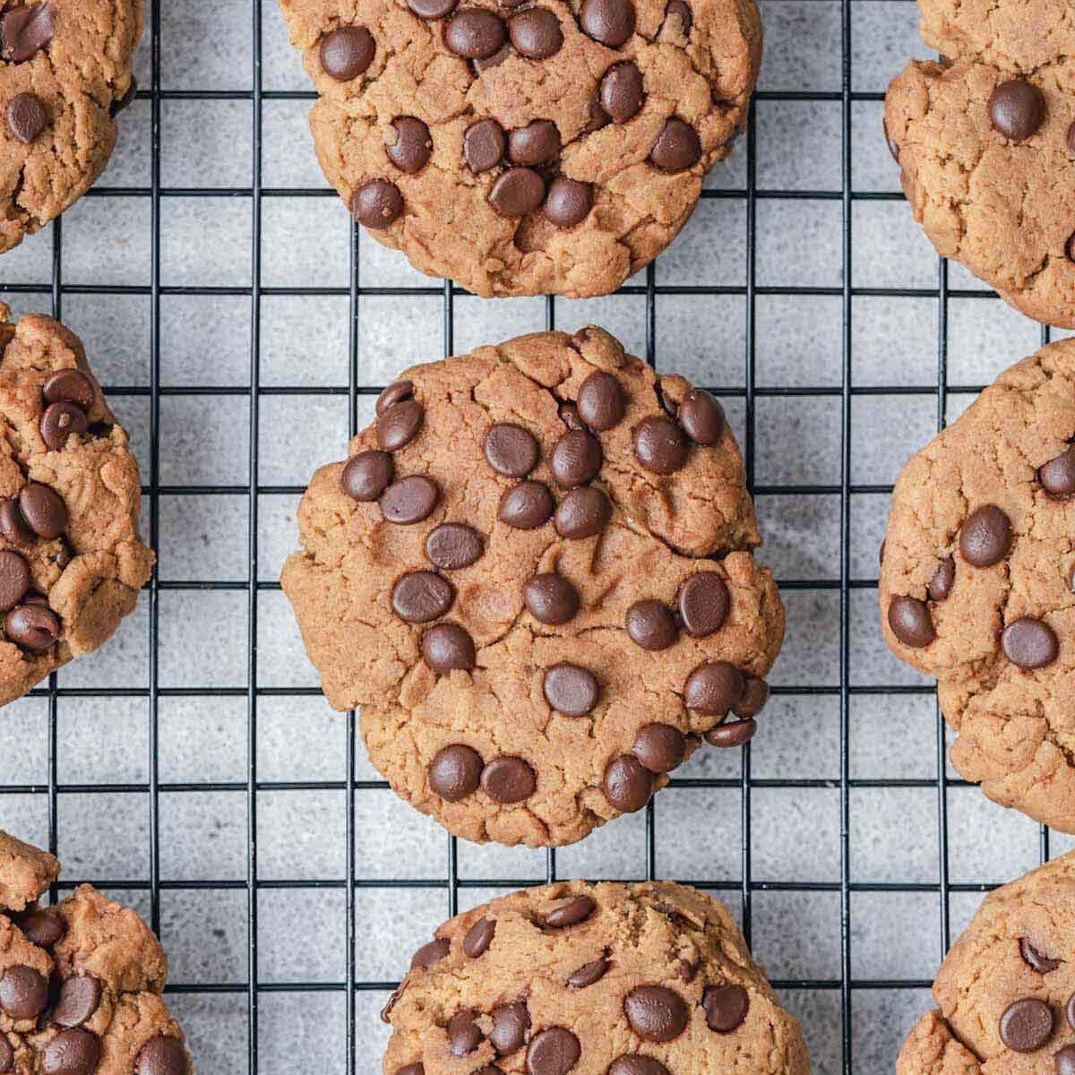 cookies on a wire rack with chocolate chips.