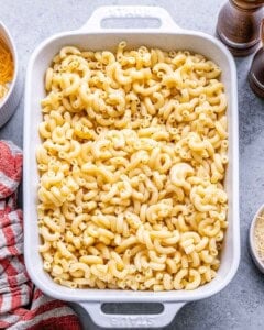 Layer of cooked elbow macaroni in a baking dish before sauce or toppings are added.