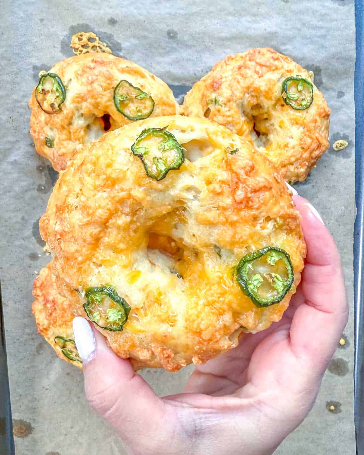 Hand holding a bagel topped with cheddar cheese and sliced jalapenos.