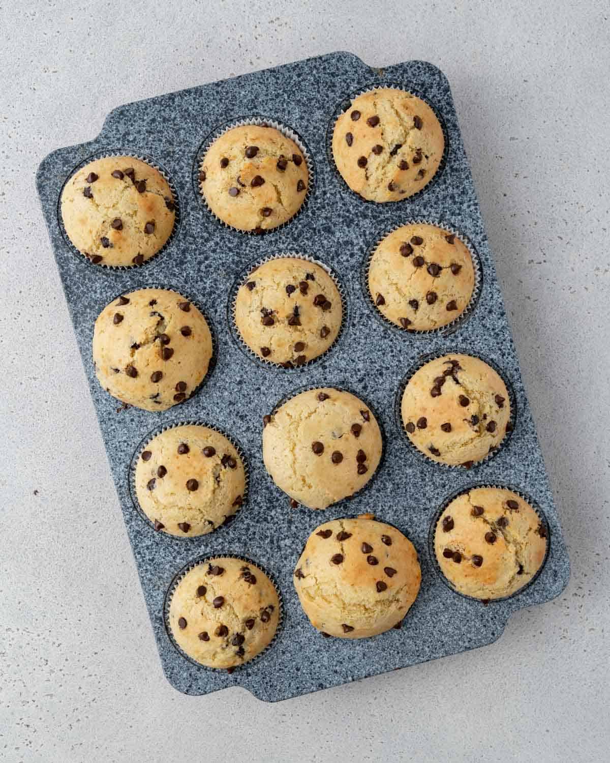 Twelve muffins cooling on a wire rack, spaced evenly and photographed from above.