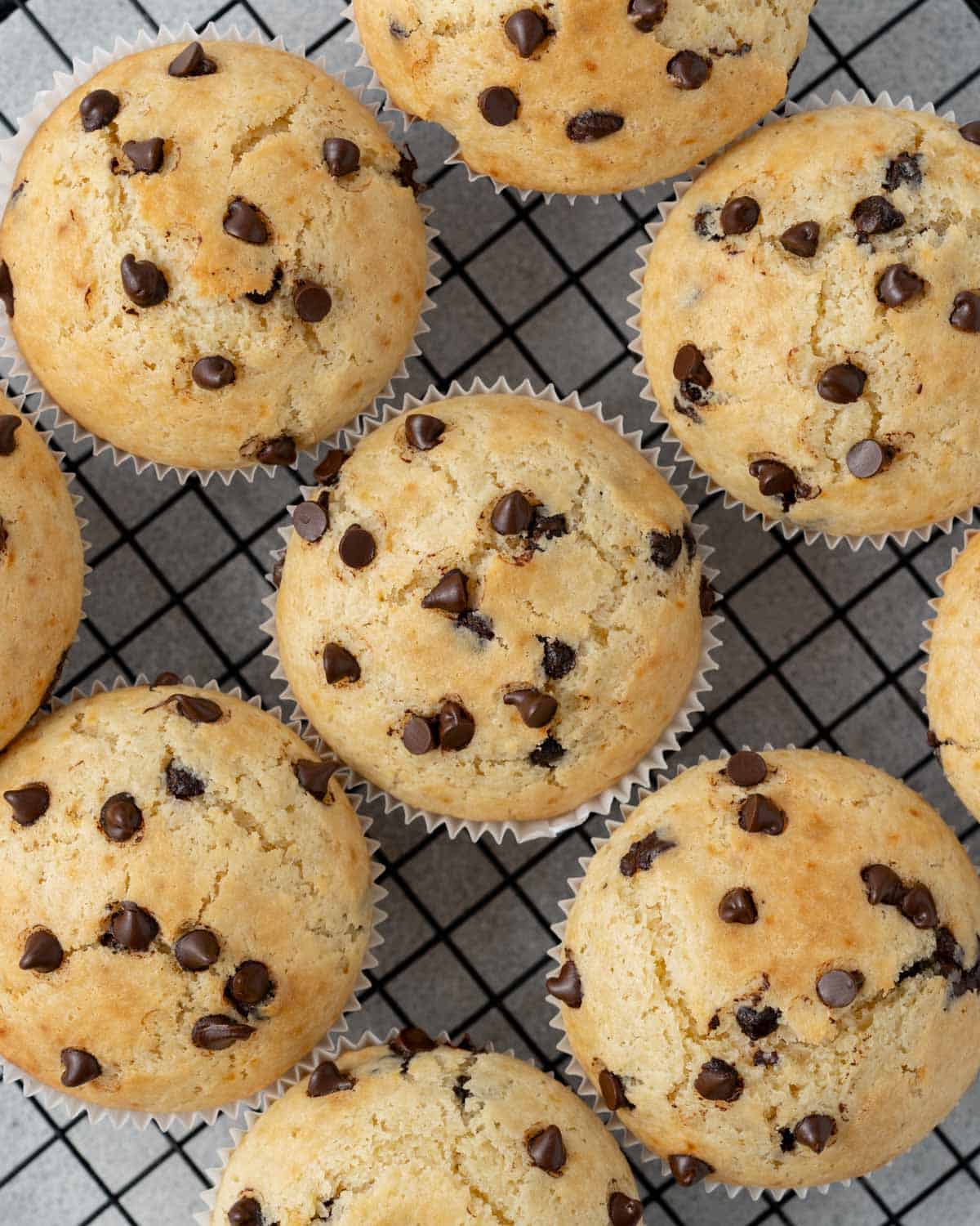 Overhead shot of six muffins on a cooling rack, arranged closely and showing chocolate chip distribution.