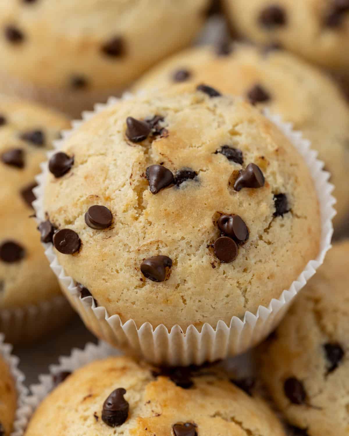 Close-up of a freshly baked Greek Yogurt Chocolate Chip Muffin with a golden top and melted chocolate chips.