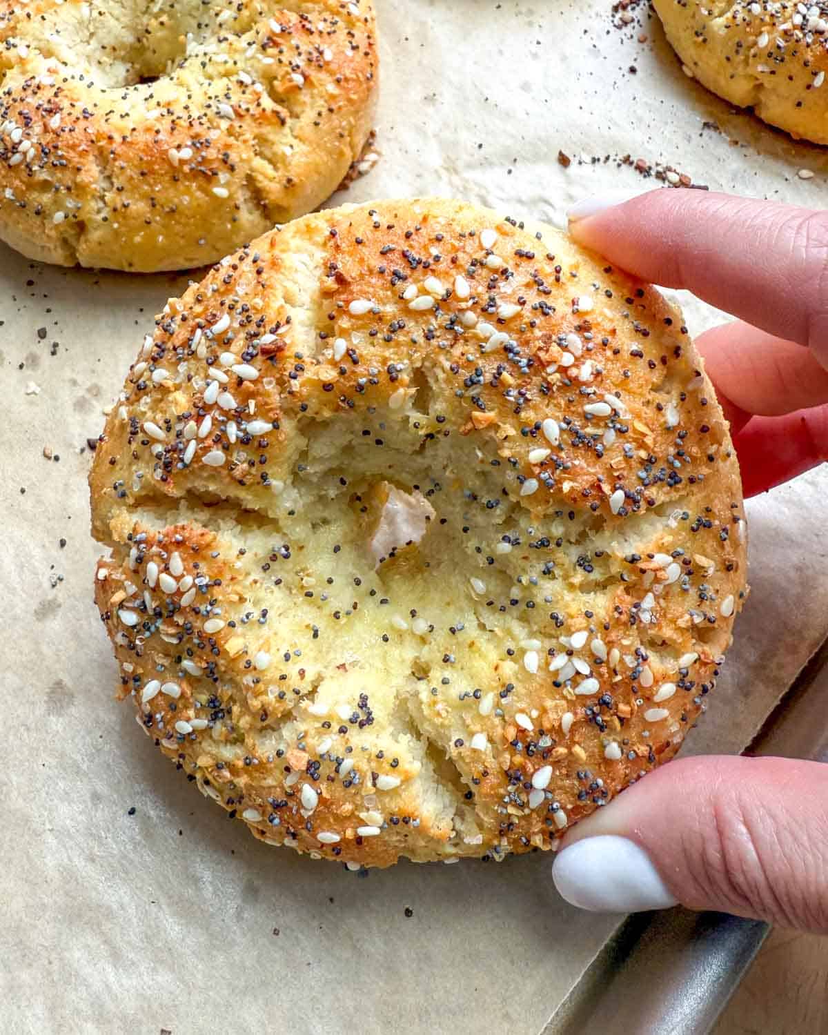 hand holding up a single bagel