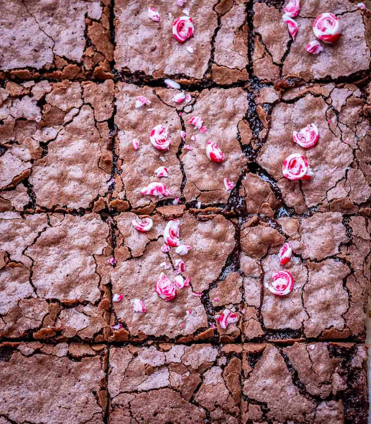 Close-up of brownie squares topped with red and white peppermint candy pieces.