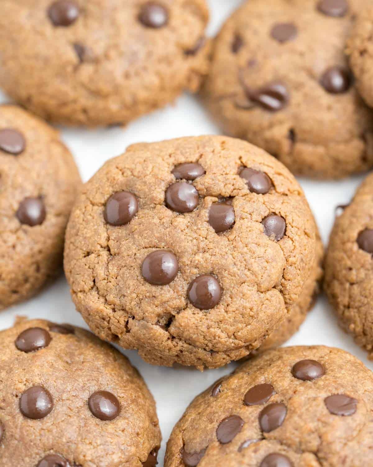 A group of almond butter cookies with chocolate chips.