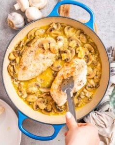 adding the chicken breasts back into the lemon garlic and mushroom sauce in the pan.