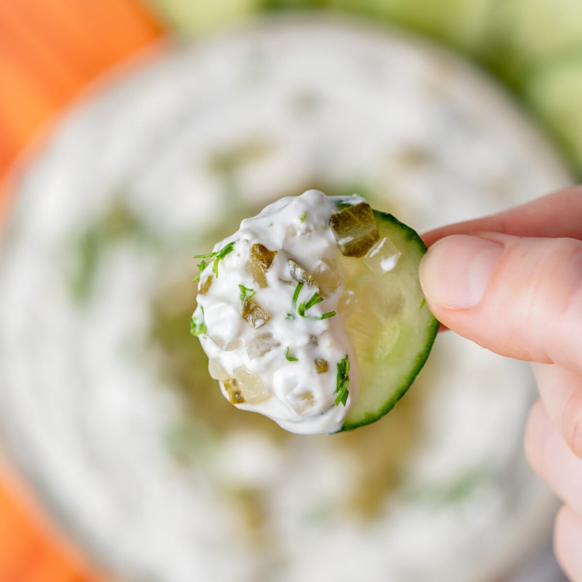 hand holding a cucumber dipped in yogurt pickle dip.