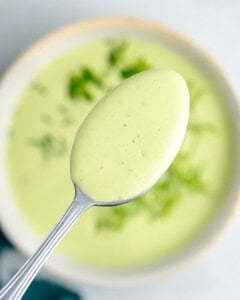 a spoonful of ranch dressing over a bowl.