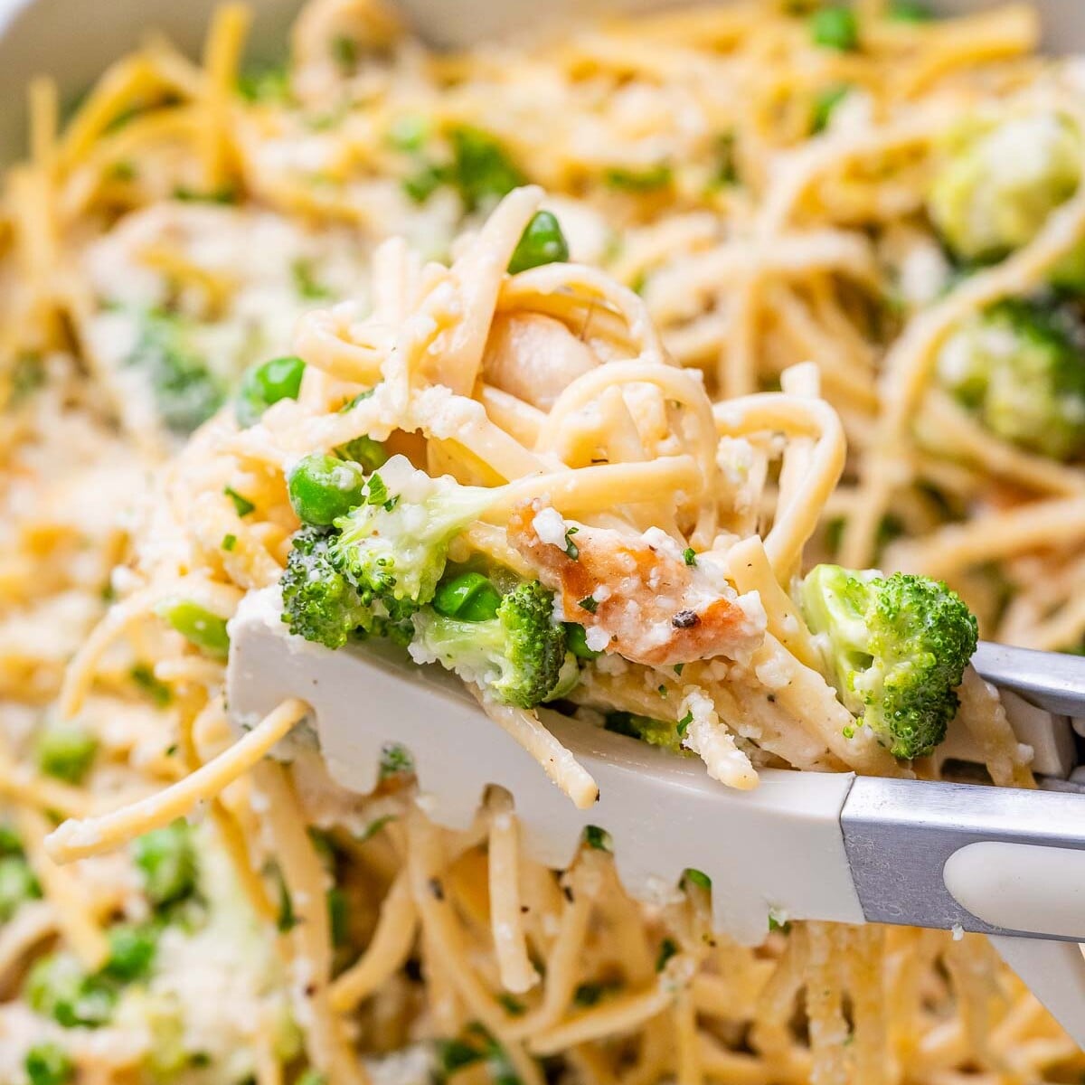 Tongs picking up chicken tetrazzini from a casserole dish.