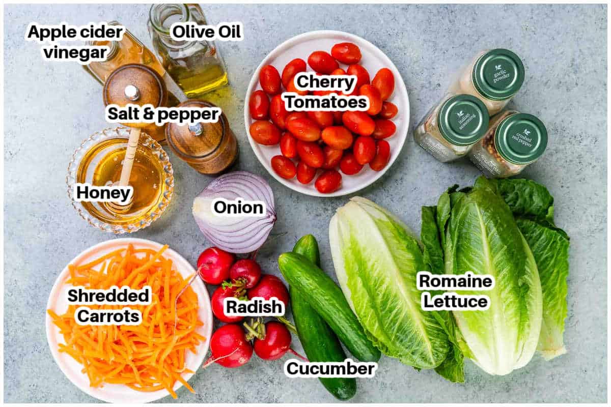 ingredients for garden salad.