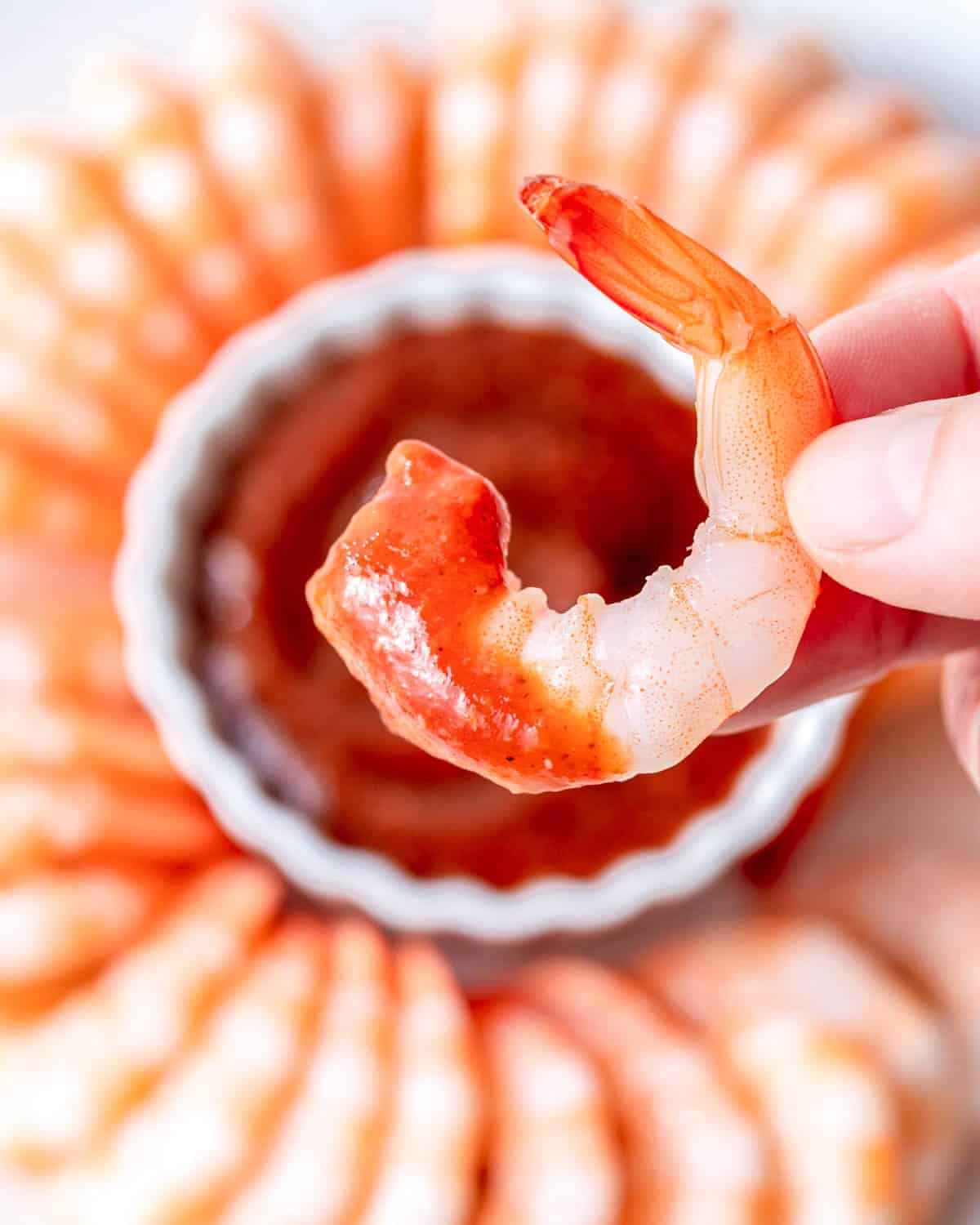 hand holding a shrimp dipped in cocktail sauce.