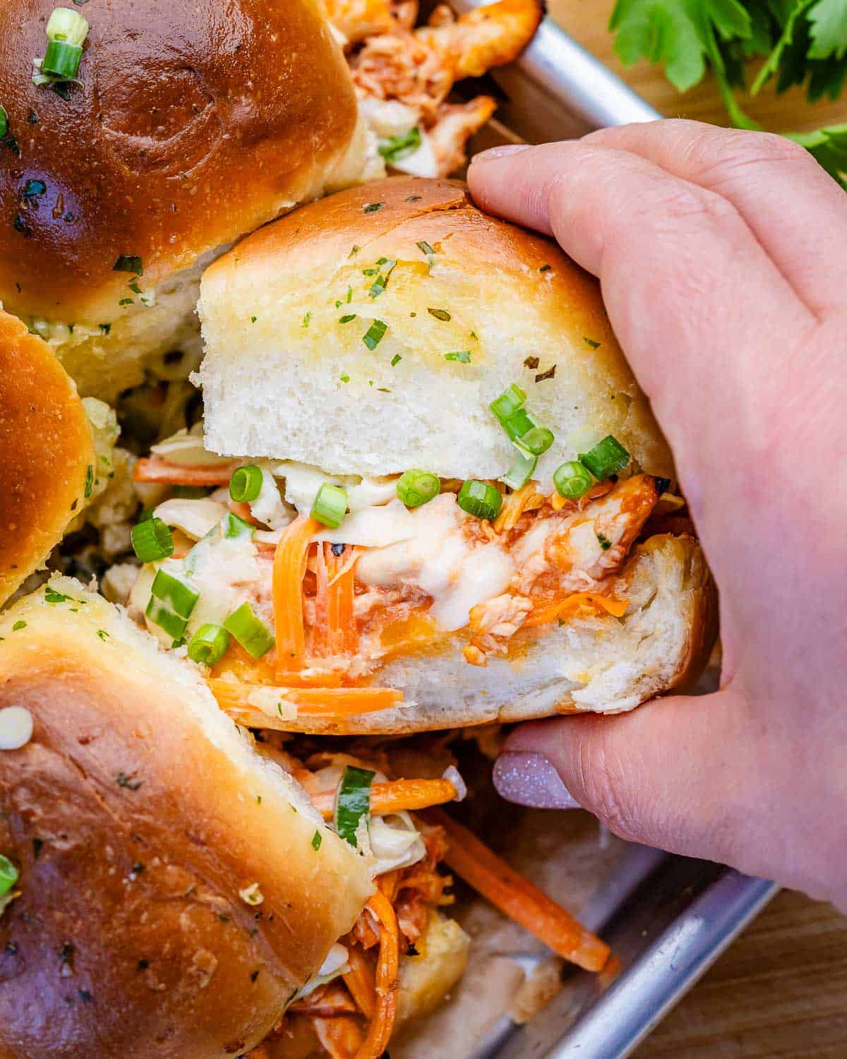 A hand holding a buffalo chicken slider.